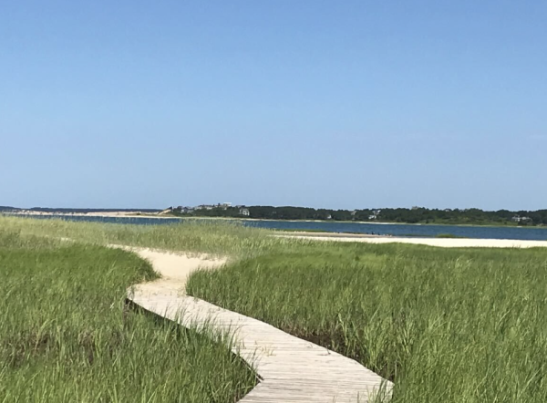 Cape Cod is a popular tourist destination for Massachusetts residents and enjoy the scenery that the coastal area has to offer. Unfortunately, Cape Cod is being faced with consequences of climate change such as rising sea levels, erosion and a loss of biodiversity. “[My family and I] have been going there since 1984, so we really watched the Cape shrink every year,” lifelong Cape Cod visitor Mary Hicks said.
